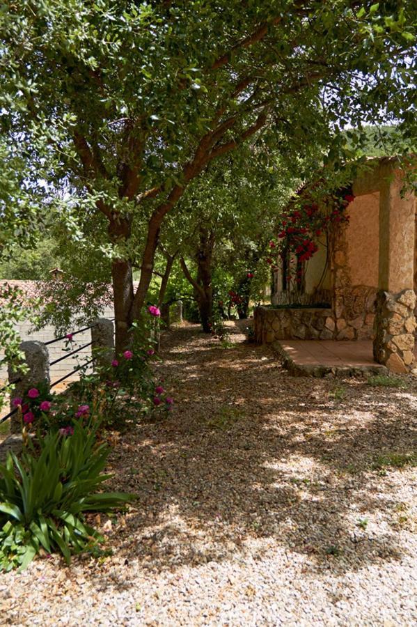 Casas Rurales Amable- Yeste Cortijo Prados Zewnętrze zdjęcie