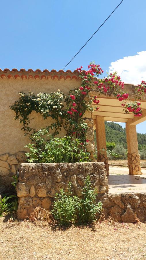 Casas Rurales Amable- Yeste Cortijo Prados Zewnętrze zdjęcie