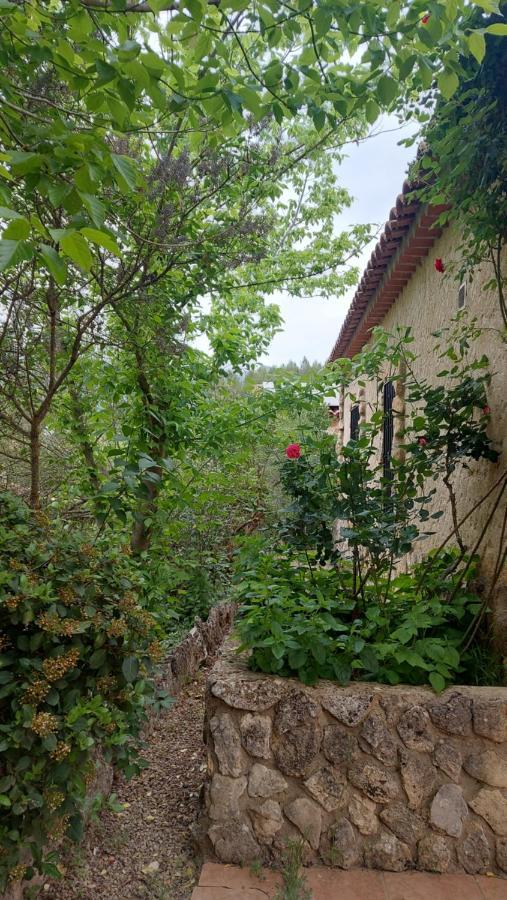 Casas Rurales Amable- Yeste Cortijo Prados Zewnętrze zdjęcie